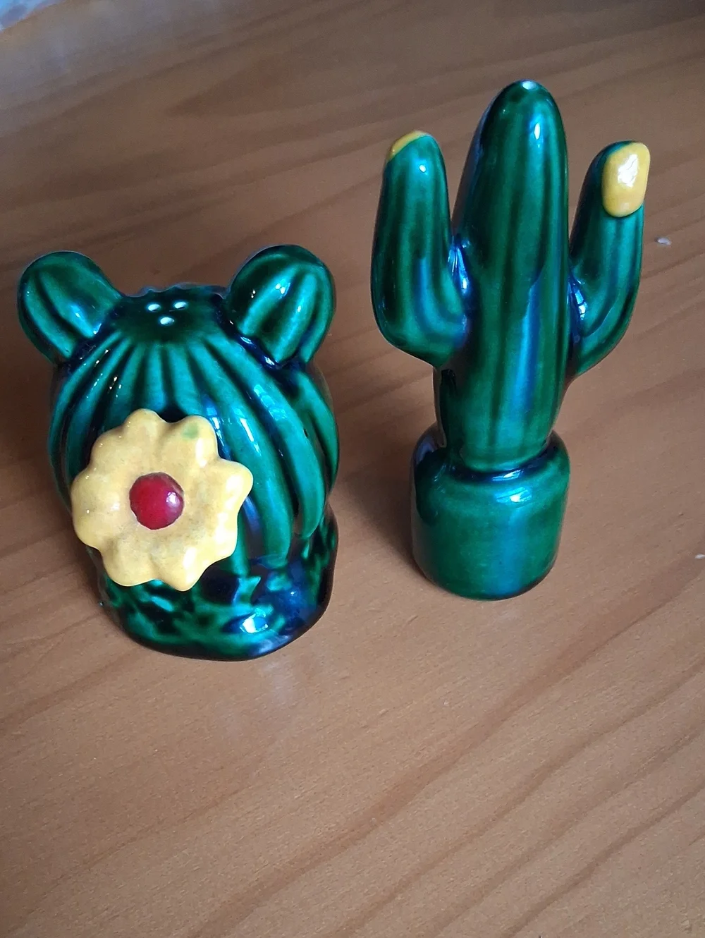 Green Ceramic Cactus Salt and Pepper Shaker Set